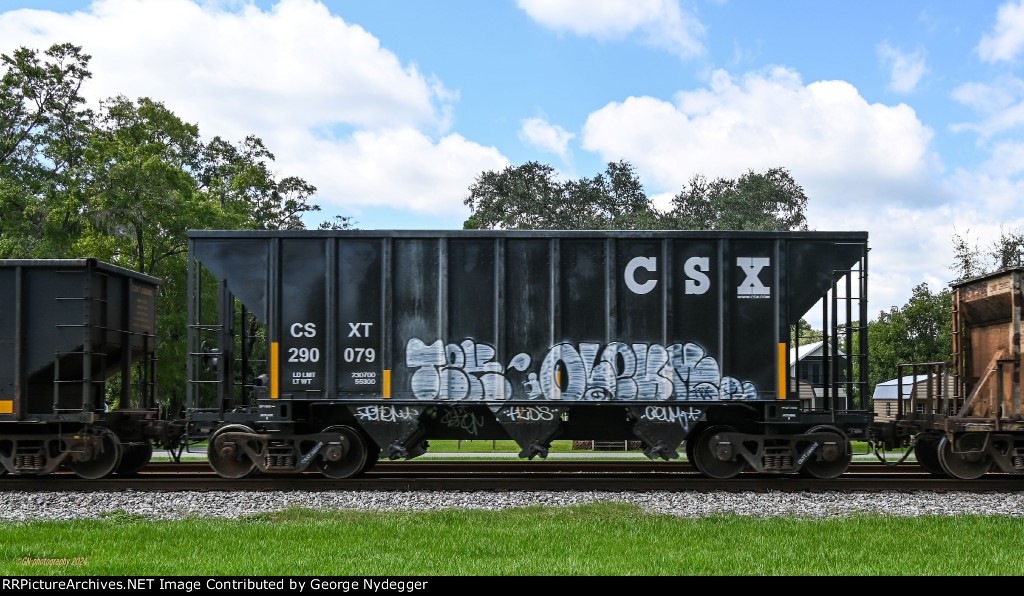 CSX 290079